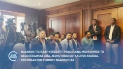 Naannoo Tigraay Keessatti Fonqolcha Mootummaatu Geggeessamaa Jira, Jedhu Obbo Geetaachoo Raddaa, Pirezidaantiin Yeroofii Naannichaa