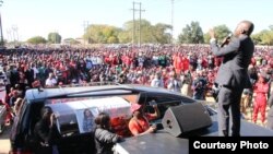 Amai Vimbai Tsvangirai Java