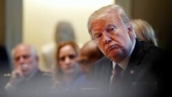 VOA: EE.UU. Trump y el futuro en la OTAN