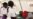 Zimbabweans Worry About Rise in Typhoid Cases