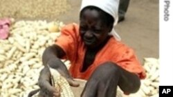 Farmers say state-sponsored agricultural inputs should not be distributed only to supporters of the ruling party.