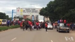 Vatsigiri veMDC-T Vochema Mutungamiri Wavo VaMorgan Tsvangirai