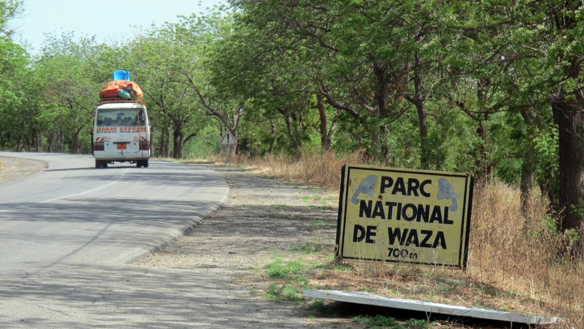 Cameroon to Revamp Wildlife Reserve Hit by Terrorism, Poaching, Deforestation - Vimarsana News