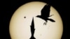 Venus Transits Sun for Last Time This Century