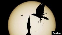 A reflection of Venus passing the sun is projected on paper Wednesday at the University of Bahrain