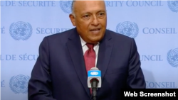 የግብጽ የውጭ ጉዳይ ሚኒስትር ሳሚ ሽኩሪ/የተባበሩት መንግሥታት ድርጅት ገፅ ላይ የተወሰደ ስክሪን ቅጂ