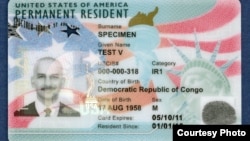 Bagian depan desain baru kartu hijau (green card) Dinas Layanan Kewarganegaraan dan Imigrasi Amerika (USCIS), yang dikatakan kebal terhadap upaya pemalsuan. (Foto: USCIS)