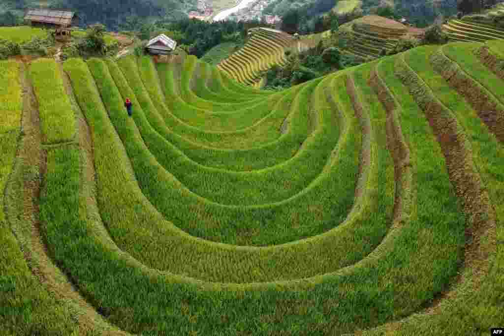 Terraced rice fields are seen in northern Vietnam&#39;s Mu Cang Chai district.