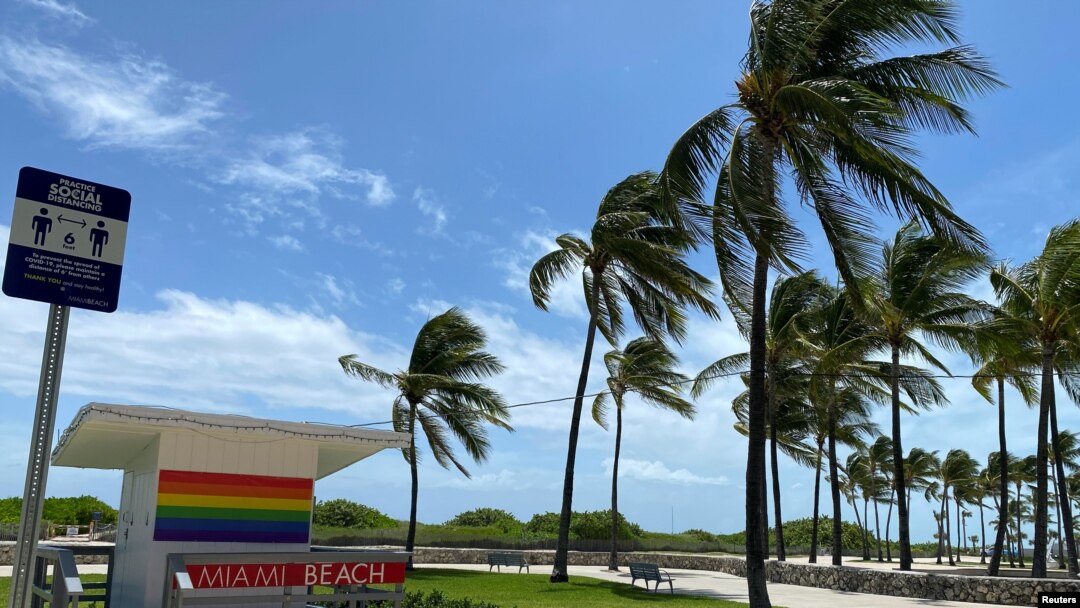 Pohon palem ditiup angin kencang menjelang Badai Isaias di Miami Beach, Florida, 1 Agustus 2020. (Foto: Reuters)