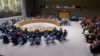 СБ ООН рассмотрит резолюцию с призывом о всеобщем прекращении боевых действий