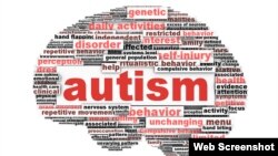 Nuevas investigaciones buscan relaciones entre los neurocircuitos que interfieren en la comunicación en personas con autismo y\o depresión.