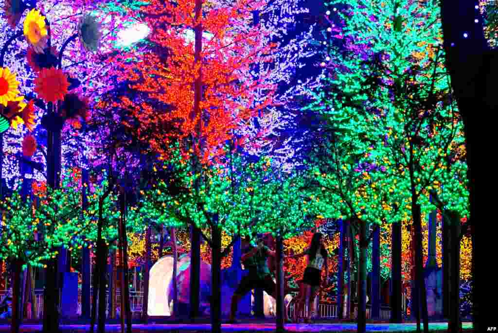 말레이시아 콸라룸푸르의 한 놀이공원에서 나무들을 LED 전구로 장식했다.