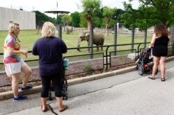 FILE - Visitors watch an elephant at the Milwaukee County Zoo in Wisconsin, July 3, 2019.