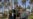 Biden Thanks Iraqi Forces for 'Enormous Sacrifice and Bravery'