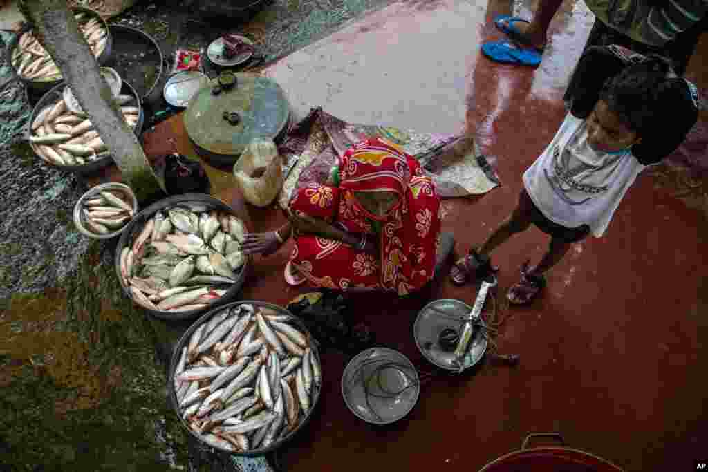 فروش ماهی در روز بارانی توسط یک زن هندی در کنار رودخانه براهماپوترا، در هند