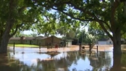 Texas Flooding