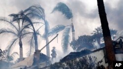 A firefighter stands under windswept palm trees as he hoses down smoldering debris in Ventura, Calif., Dec. 5, 2017. 
