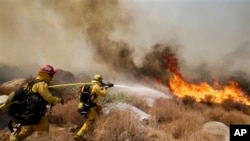 Pemadam kebakaran berusaha memadamkan api di sebuah kawasan hutan di Cabazon, California, baru-baru ini (8/8).