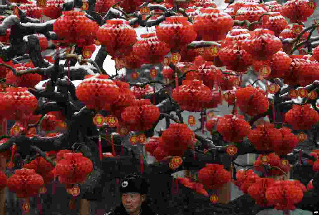 A security guard stands near a tree decorated with red lanterns at Ditan Park during a temple fair for a Lunar New Year celebration, in Beijing.