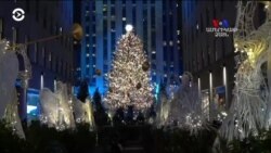 Վառվել են Նյու Յորքի գլխավոր տոնածառի լույսերը