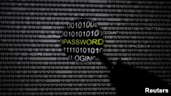 FILE - A magnifying glass is held in front of a computer screen in this picture illustration taken in Berlin, Germany.