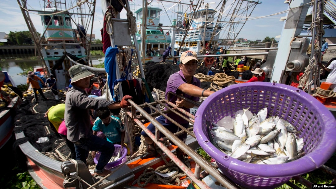 Cleaning Up the Thai Fishing Industry - The Borgen Project