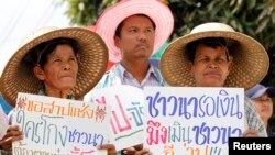 泰國農民在曼谷郊外舉著標語抗議，要求總理英祿解決按照稻米補貼項目應該發放給他們的款項。（2014年2月6日資料照）