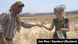 Amaia Arranz-Otaegui, a University of Copenhagen postdoctoral researcher in archaeobotany, and Ali Shakaiteer, a local assistant to researchers working at an archeological site in the Black Desert in northeastern Jordan, are seen collecting wheat in this 
