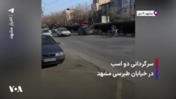 سرگردانی دو اسب در خیابان طبرسی مشهد