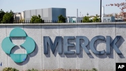 FILE - Signage is seen at the corporate headquarters of the U.S. pharmaceutical company Merck in Kenilworth, New Jersey, May 1, 2018. 