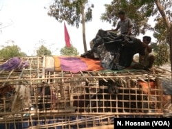 Ahead of the monsoon, when heavy rains and cyclonic storms are likely to hit the region, some Rohingyas are busy doing some reinforcing work at a shack in Kutupalong refugee camp, Cox's Bazar, Bangladesh.