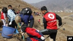 지난달 4일 북한 구장군 용천리에서 적십자 직원들이 식목 삭업을 벌이고 있다.