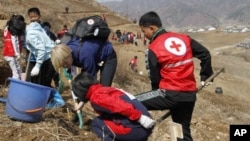 지난 2013년 북한 구장군 용천리에서 적십자 직원들이 학생들과 함께 식목 삭업을 벌이고 있다. (자료사진)