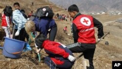 지난 4월 북한 구장군 용천리에서 적십자 직원들이 식목 삭업을 벌이고 있다.