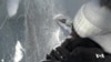 Ice-Carving Champion Competes in Mostly Male-Dominated Art Form