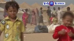 Manchetes Africanas 1 Dezembro 2015