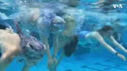 美人鱼畅游弗吉尼亚人鱼文化节