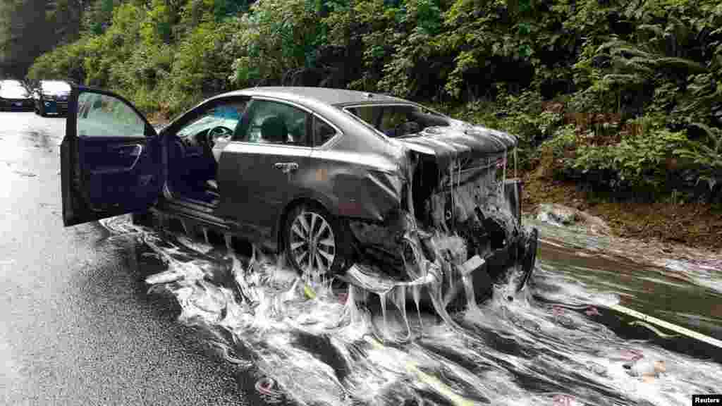 Slime eels, otherwise known as Pacific hagfish, cover Highway 101 after a flatbed truck carrying them in tanks overturned near Depoe Bay, Oregon, U.S.