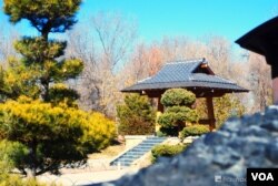 The winter had been quite harsh so the there was not much in the botanical garden. However though, I really liked this Japanese Zen garden.