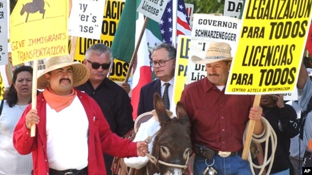 Una de las protestas en apoyo al otorgamiento de licencias de conducir para inmigrantes indocumentados, en Sacramento, California. Luego de que se aprobara una ley en enero de 2015, el estado emitió más de medio millón de licencias para inmigrantes ilegales. Foto de Archivo.