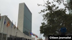 L' Assemblée Generale de l'ONU