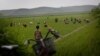 FAO "북한 올해 쌀 160만t 수확 전망…23% 증가"