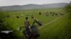 FAO "북한 올해 쌀 170만t 수확 전망"…지난해와 같은 수준