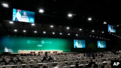 Пленарне засідання COP28 кліматичного саміту ООН, у Дубаї, Об’єднані Арабські Емірати. Субота, 9 грудня 2023 року. (Фото AP/Камран Джебрейлі)