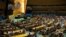 UN General Assembly