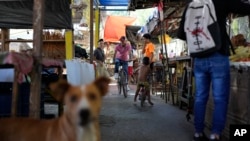 ARCHIVO - Un hombre pasea en bicicleta por el mercado de la Cooperativa Cecosesola en Barquisimeto, Venezuela, el 29 de enero de 2025. 