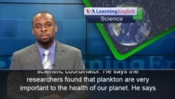 Plankton More Important than Scientists Thought