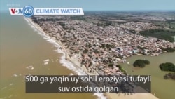 🌳⏳💧 Iqlim xabarlari 60 soniya ichida