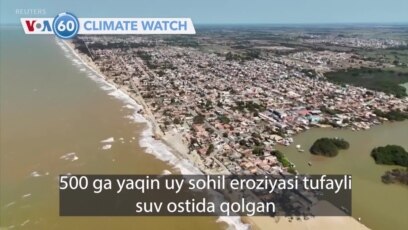 🌳⏳💧 Iqlim xabarlari 60 soniya ichida