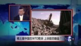 中国媒体看世界：稀土案中国在WTO败诉，上诉能否翻盘？